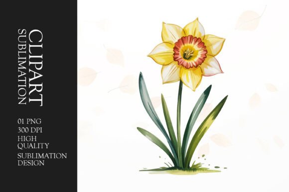 Download Single Daffodil Clipart PNG - Premium Resources