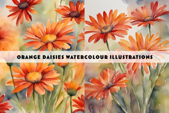 Download Orange Daisies Watercolour Duo - Orange Collection